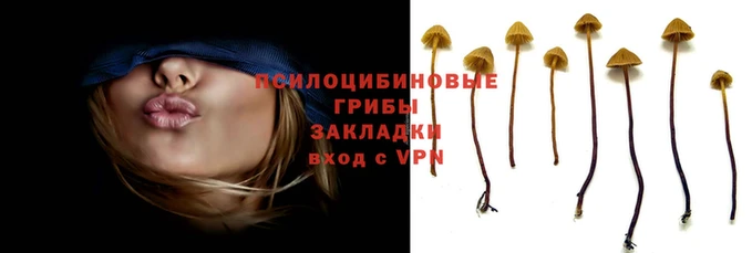 а пвп мука Армянск